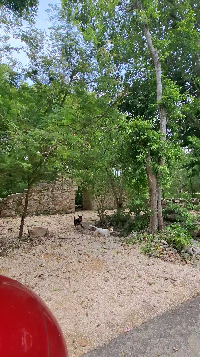 Video 4