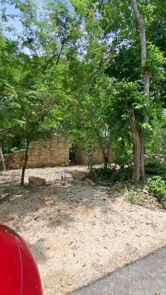 Video 5
